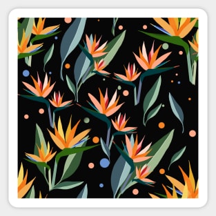 Bird of paradise . Sticker